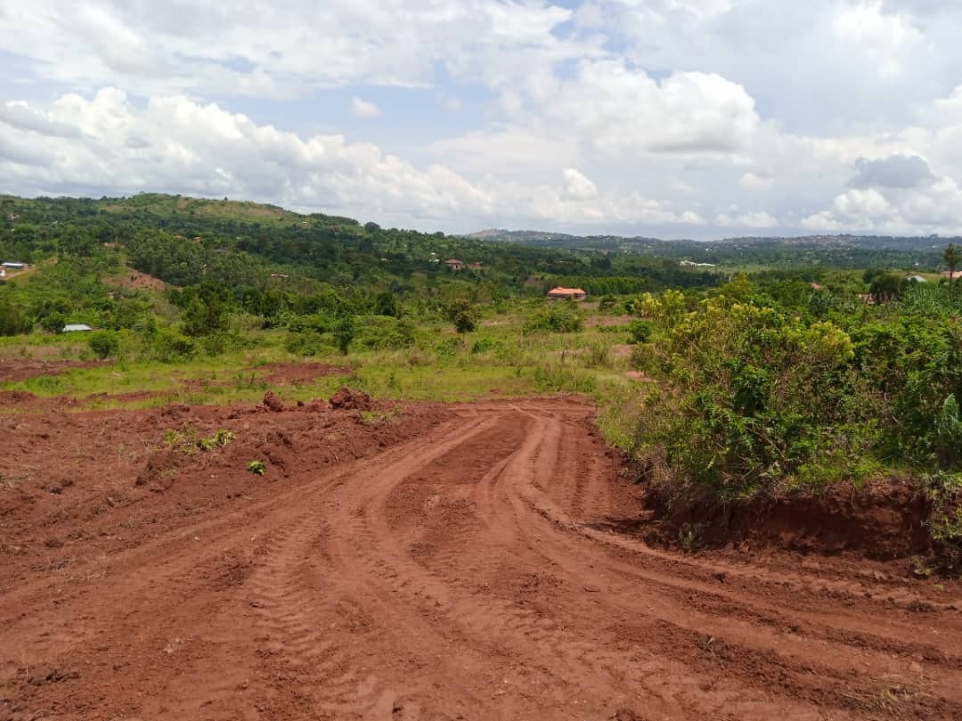 Katalemwa Estate